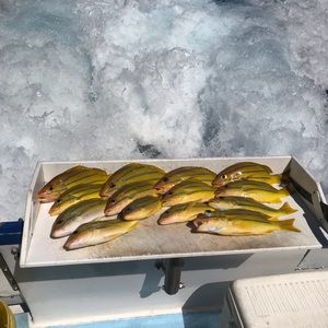 Meet your Posher, Troy